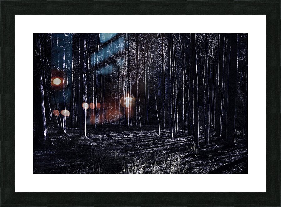  Fine Art print