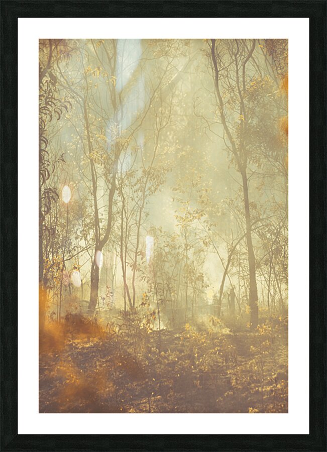  Fine Art print