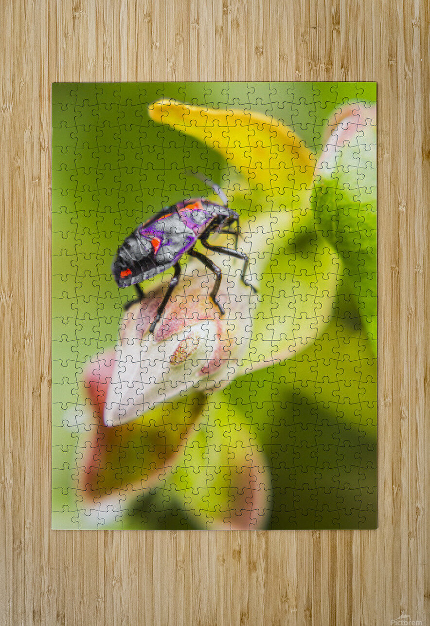 Beetle botanics Jorgo Puzzle printing