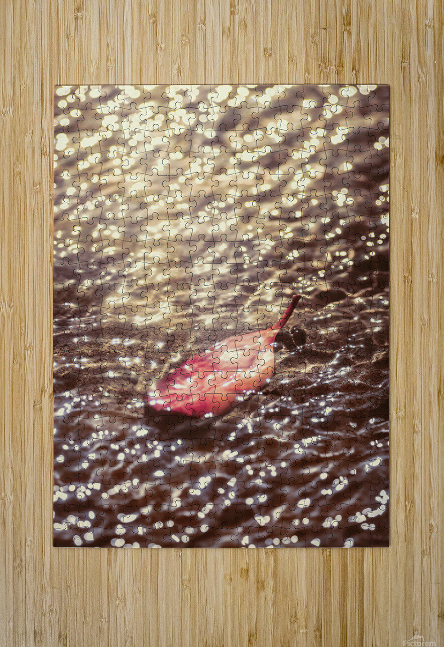 The fall and the light merger Jorgo Puzzle printing