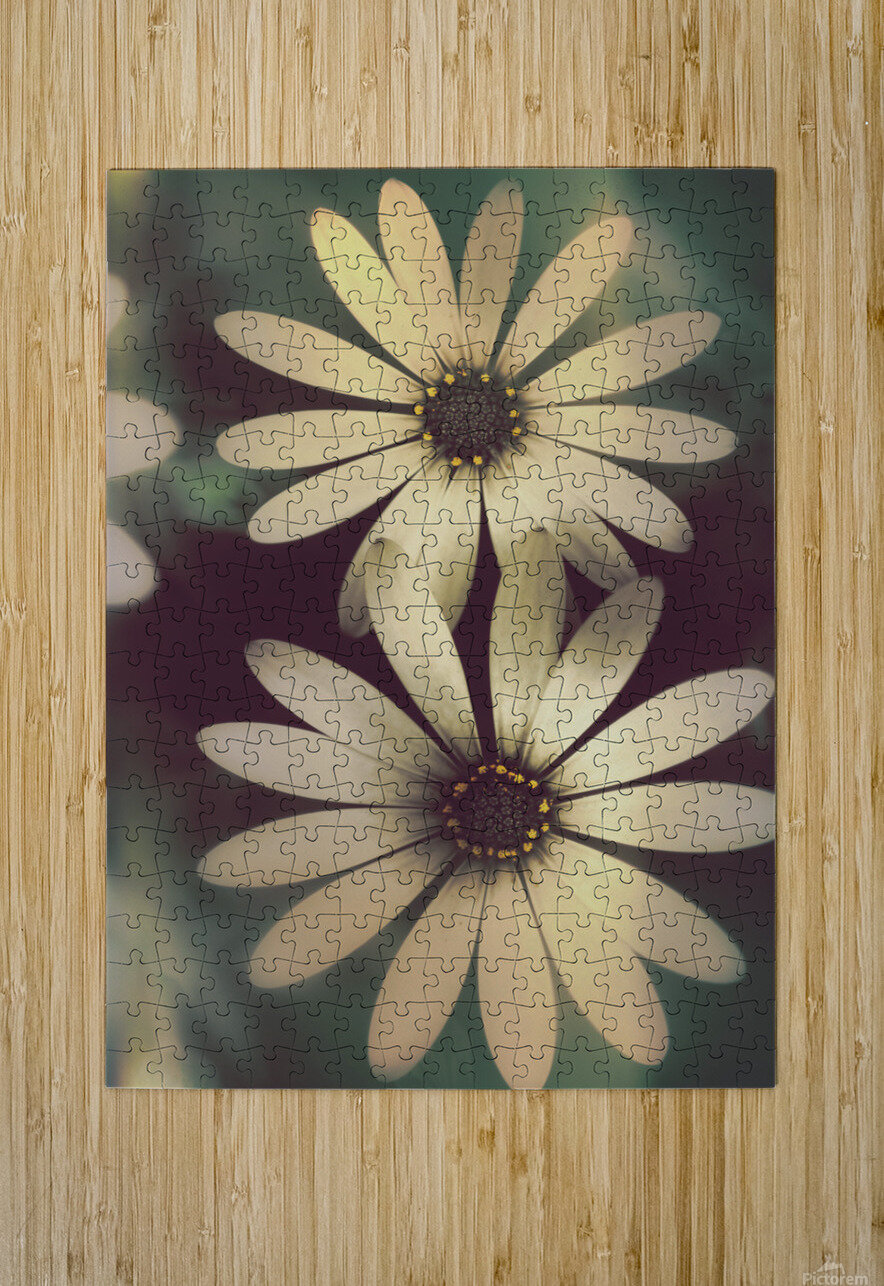 Two daisies growing in a spring garden field Jorgo Puzzle printing