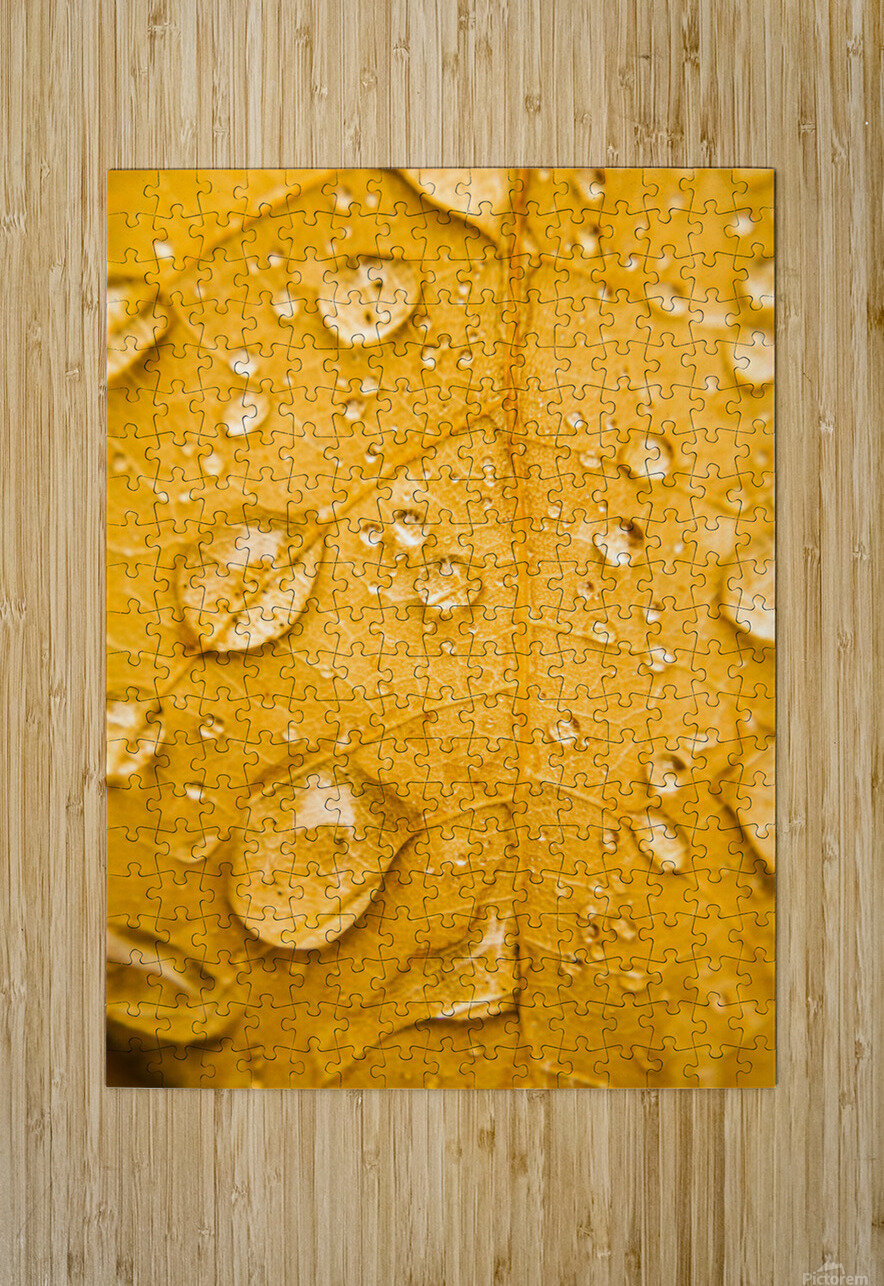 Leafy tropics Jorgo Puzzle printing