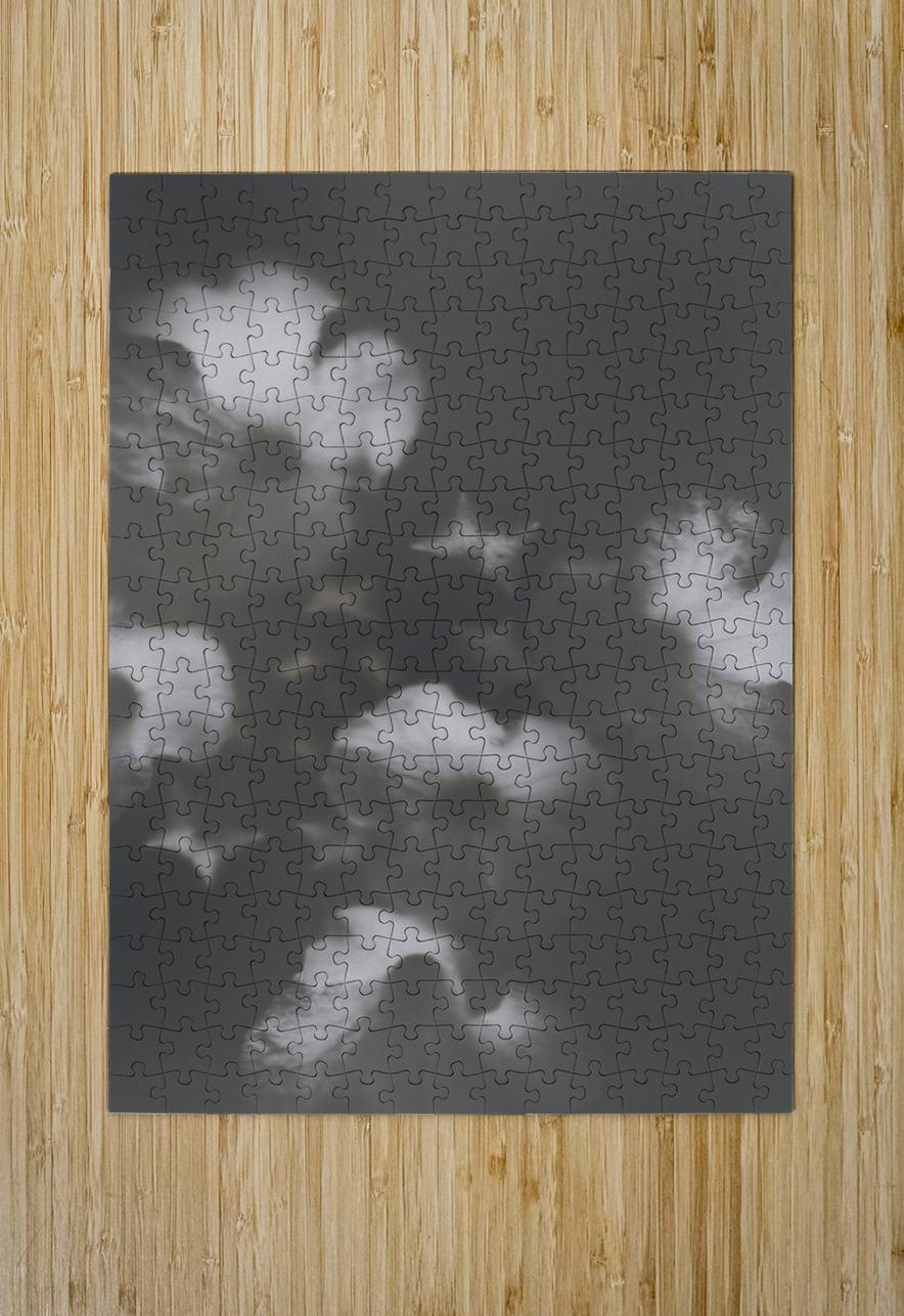 Ornate colourless weathered wild flowers Jorgo Puzzle printing