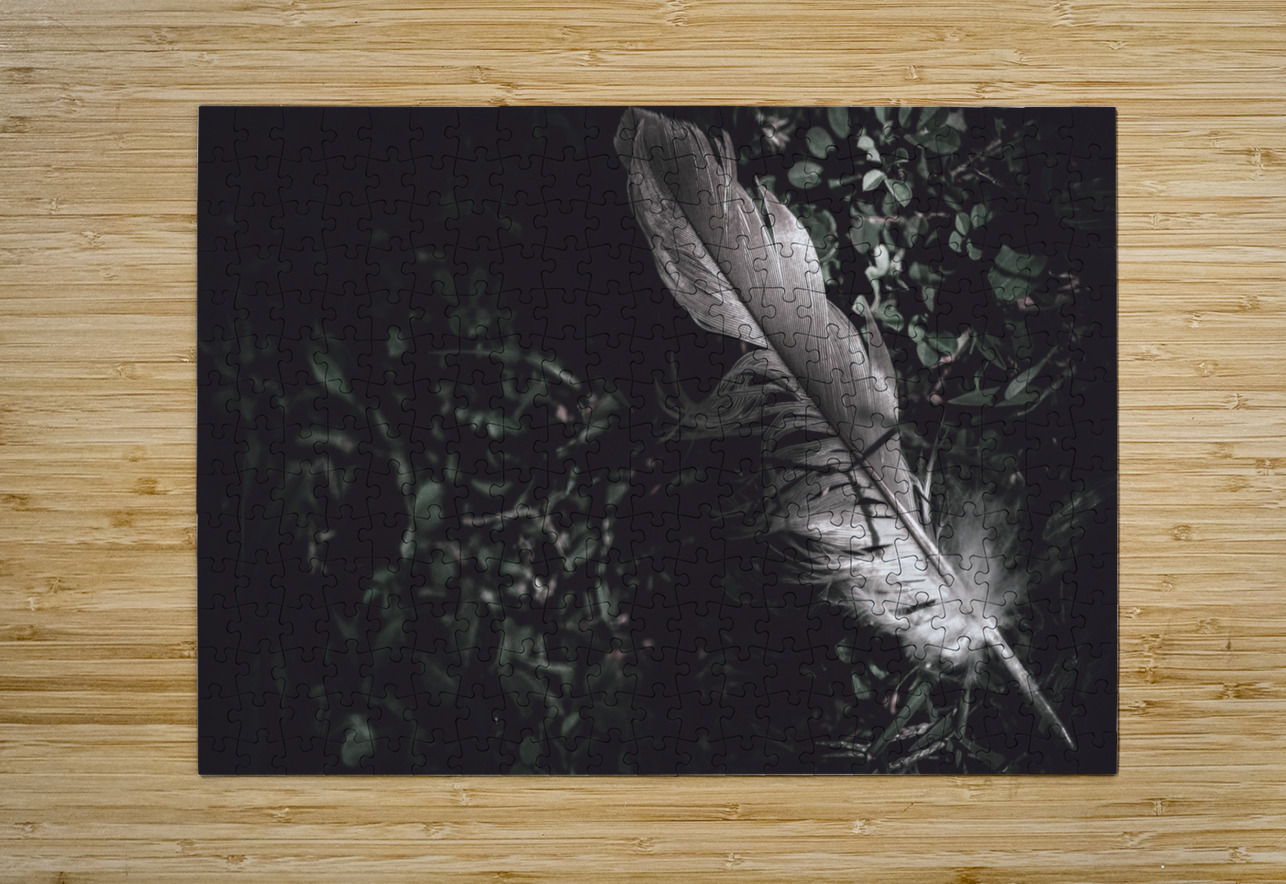 Feather quill lying in green grass. Writers guild  Jorgo Puzzle printing