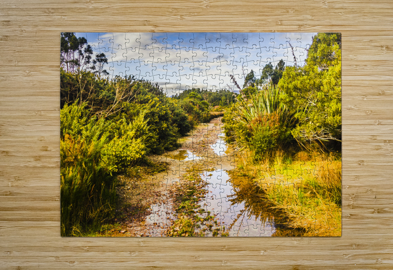Puddles and outback tracks Jorgo Puzzle printing