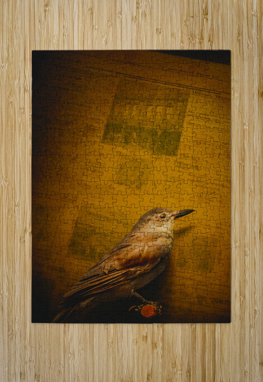 The messenger bird Jorgo Puzzle printing