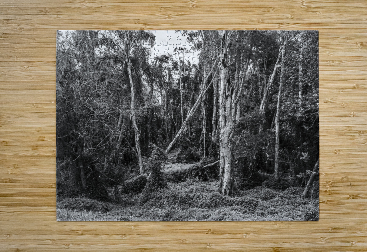 Wildering woods Jorgo Puzzle printing