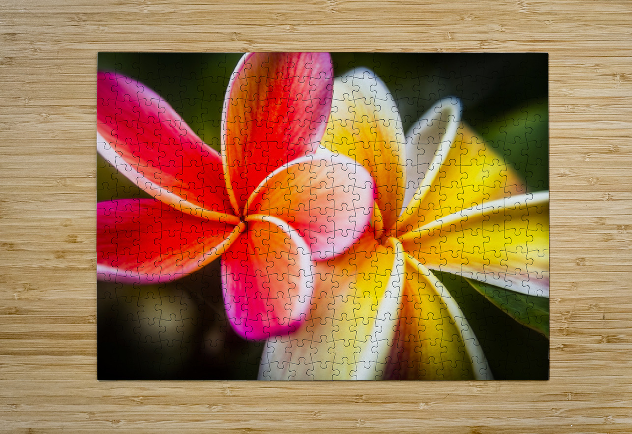 Colorful tropics Jorgo Puzzle printing