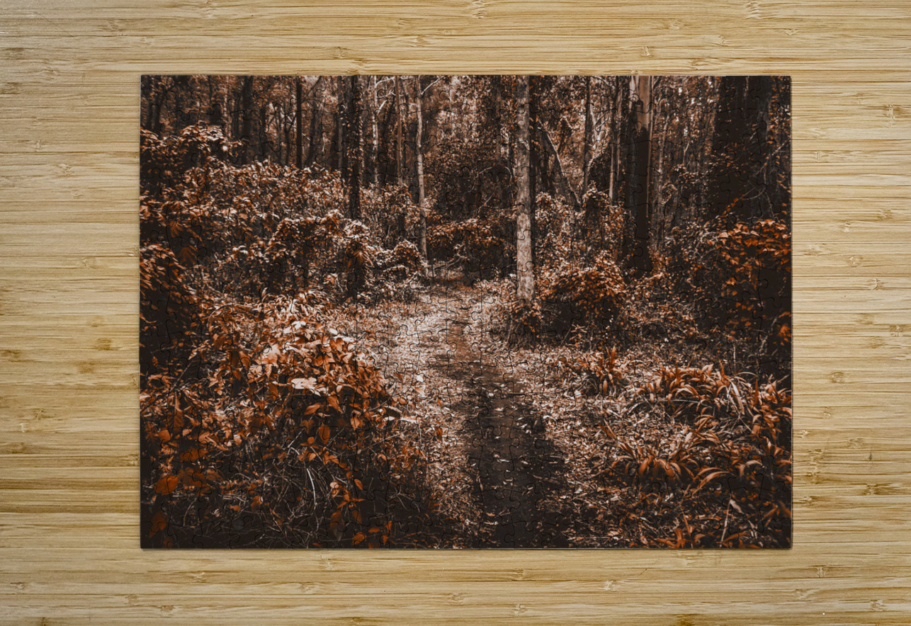 Wayback woods Jorgo Puzzle printing