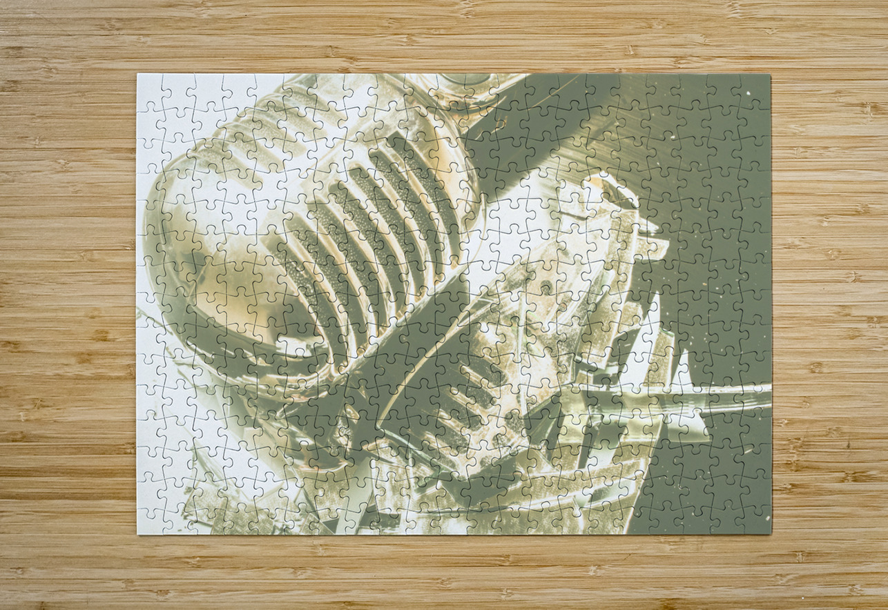 Mic Drop Jorgo Puzzle printing