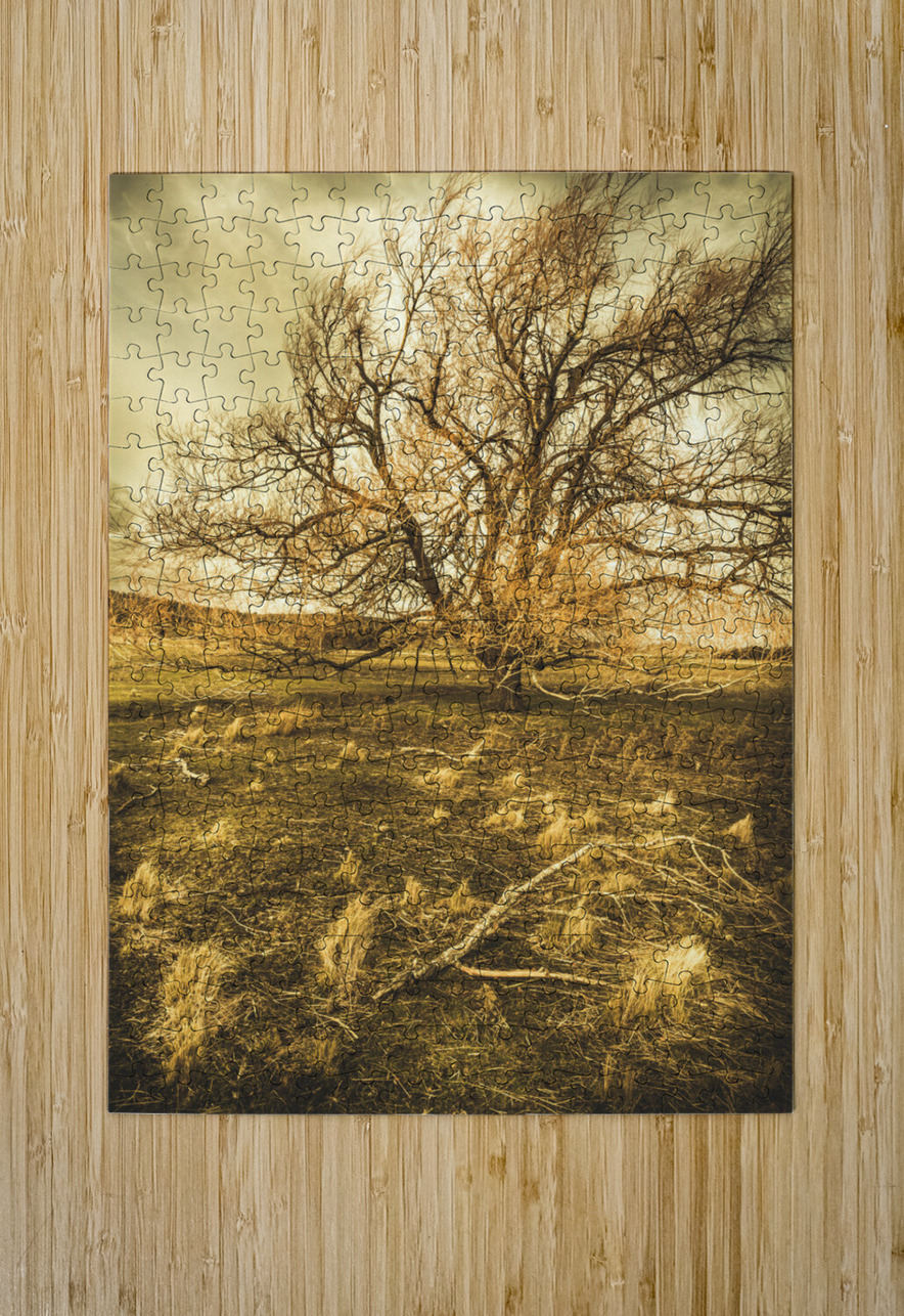 Dead tree in seasons bare Jorgo Puzzle printing