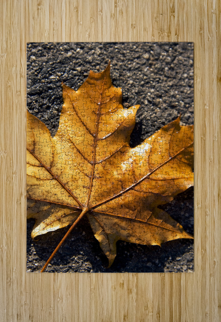 The Fall Of Autumn Jorgo Puzzle printing