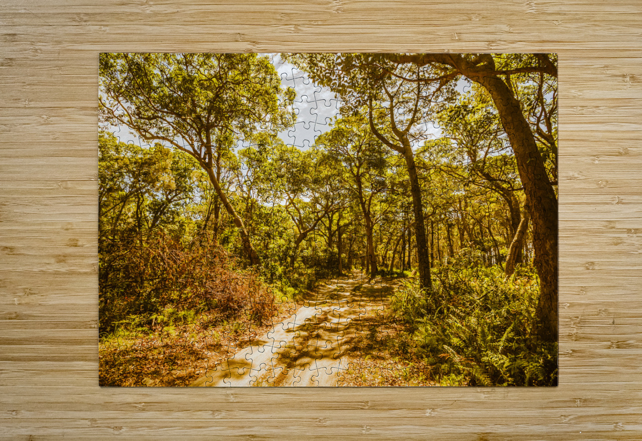 Nth Stradbroke Is. Jorgo Puzzle printing