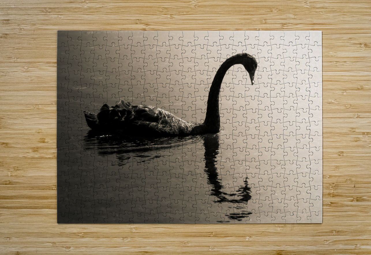 Silhouetted Jorgo Puzzle printing