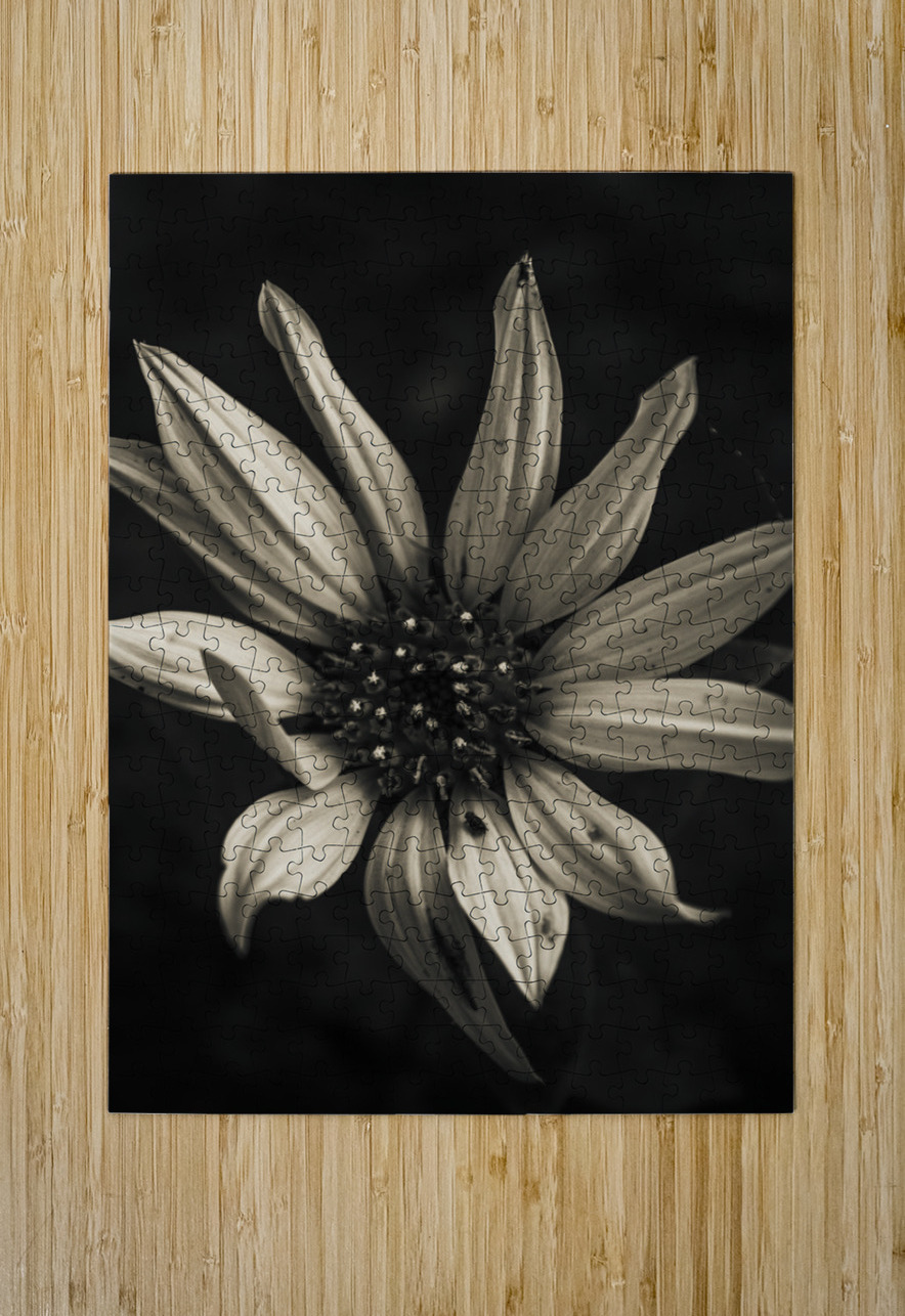 Floral elegance Jorgo Puzzle printing