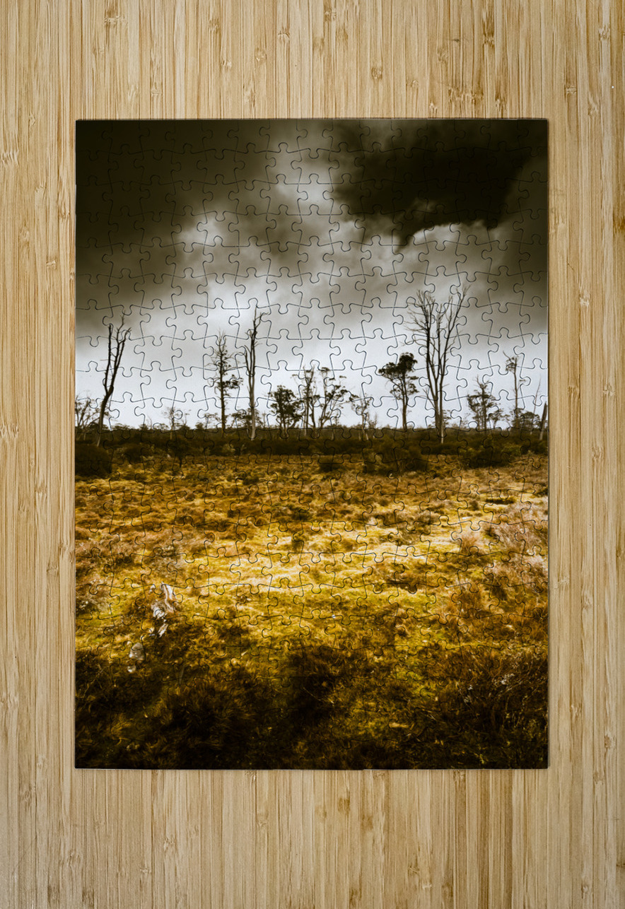 Beauty and barren bushland Jorgo Puzzle printing