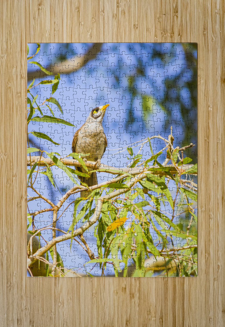 Noisy Minor Jorgo Puzzle printing