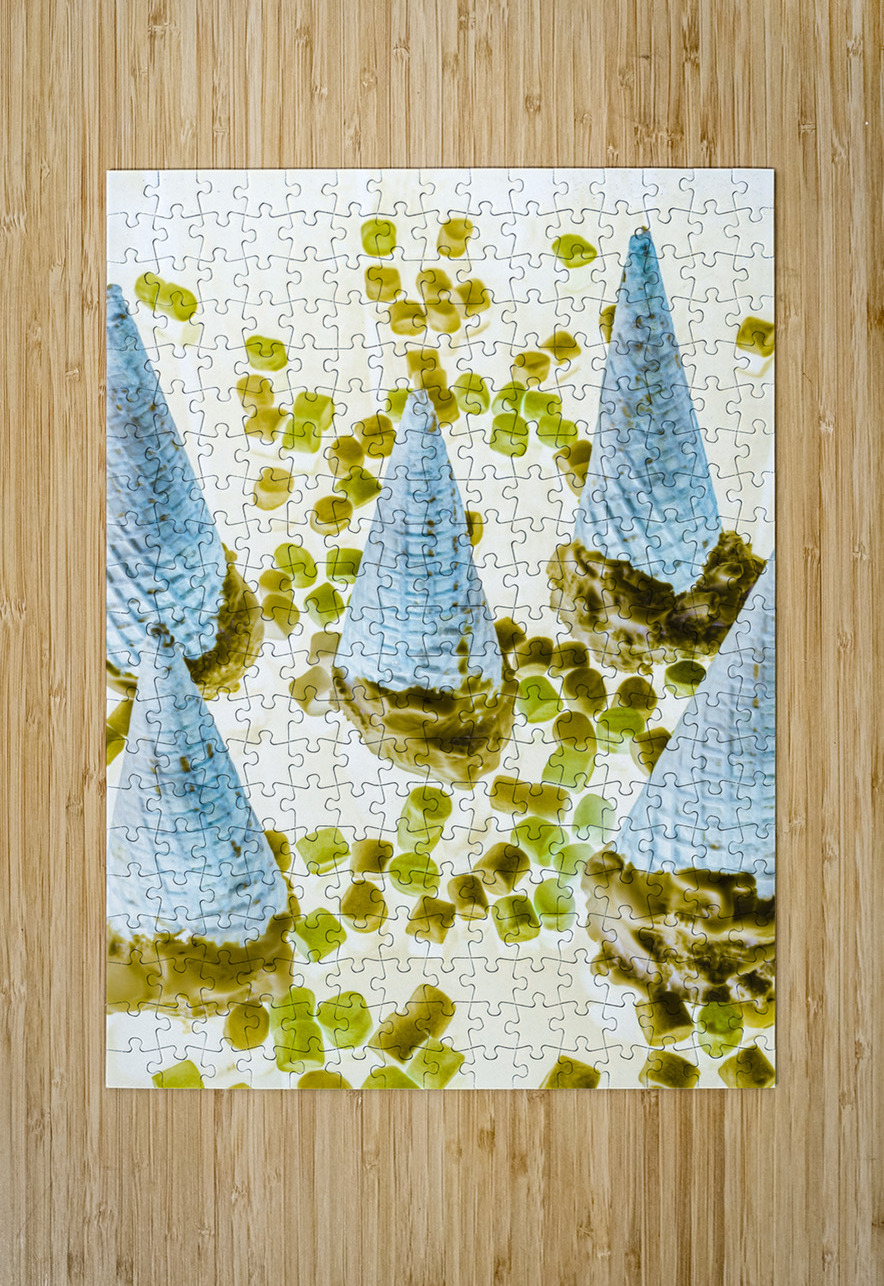 Summer inversion Jorgo Puzzle printing