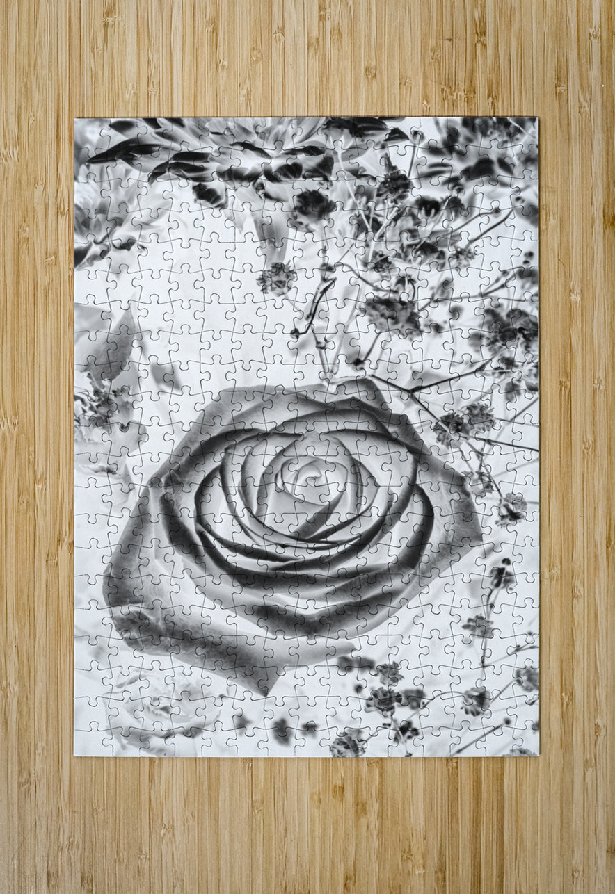 Harmonics inverted Jorgo Puzzle printing