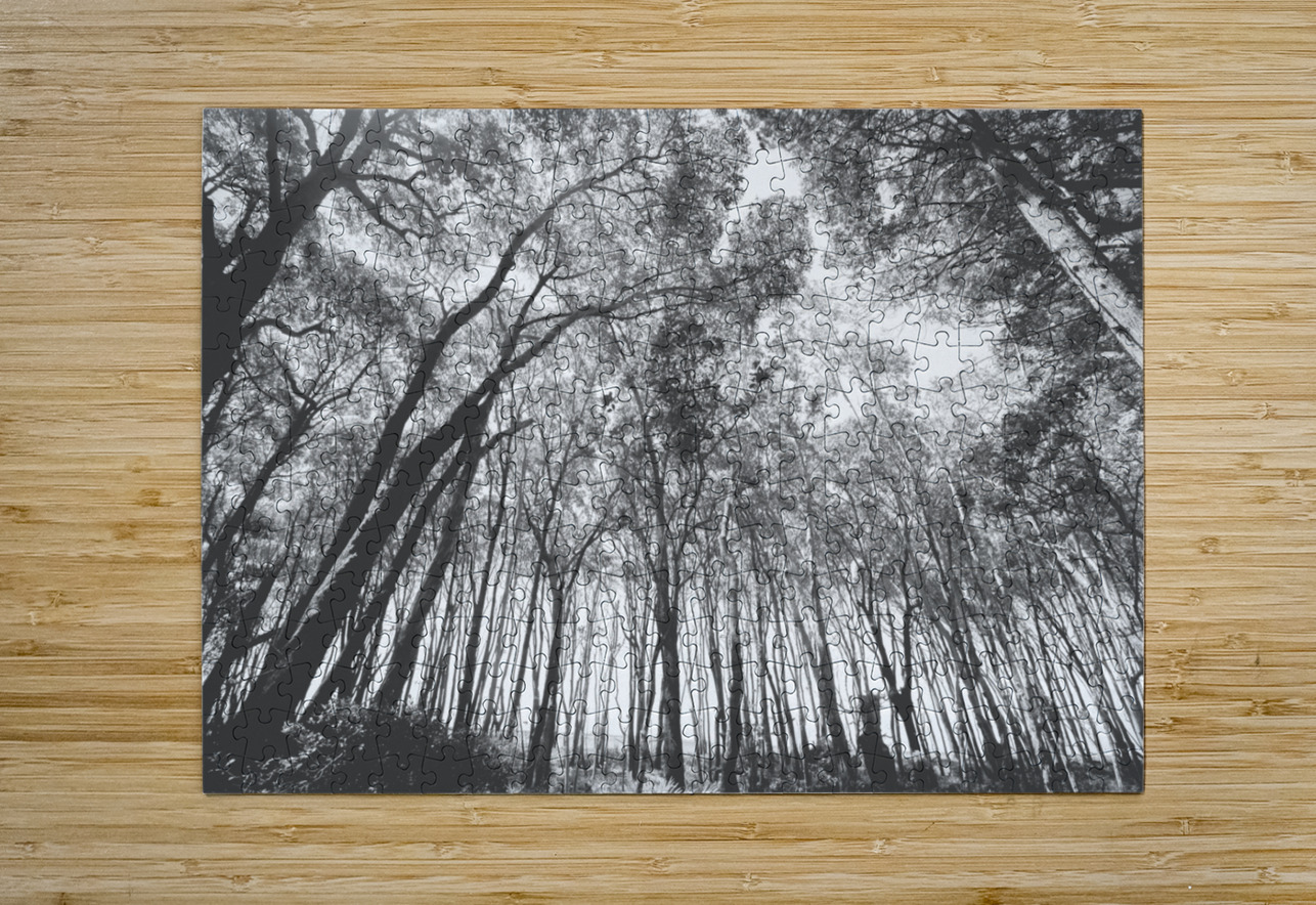 Parallels Jorgo Puzzle printing