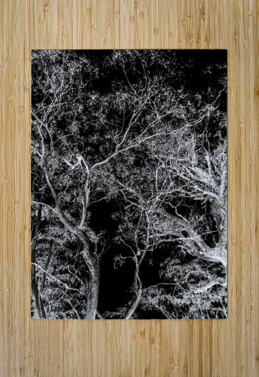 Tree dream Jorgo Puzzle printing