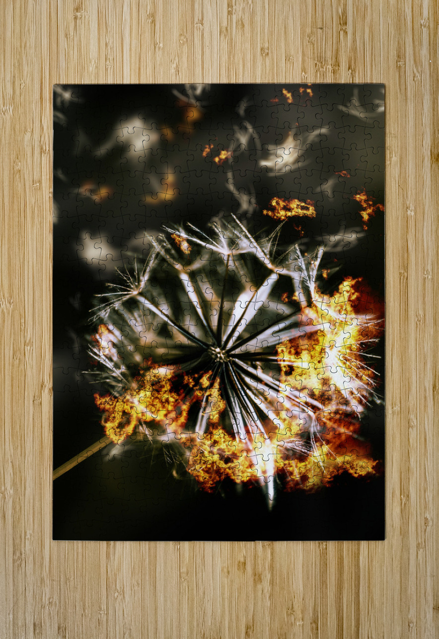 Splinters of finality Jorgo Puzzle printing