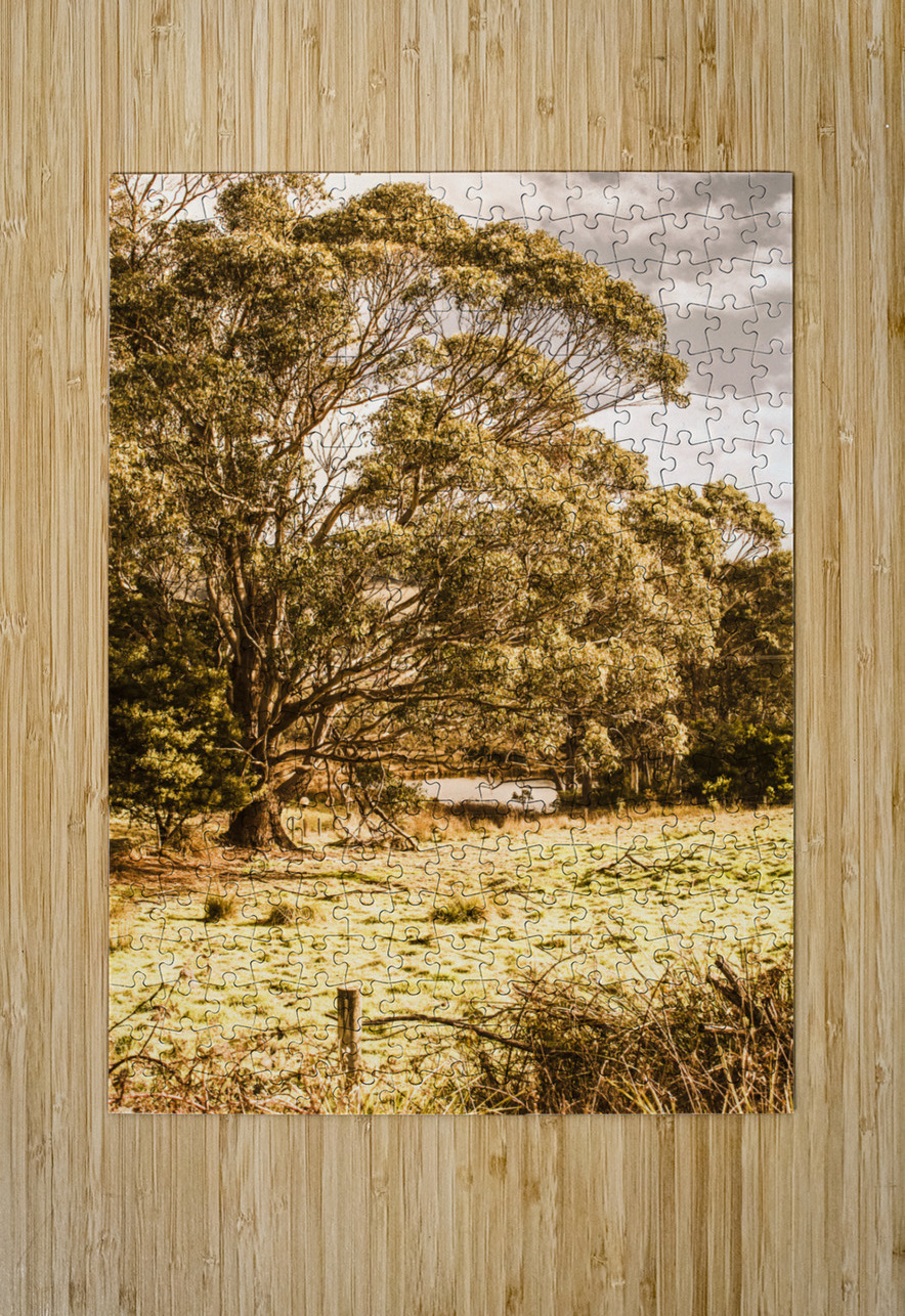 Vivid tree in a outback Australia Jorgo Puzzle printing