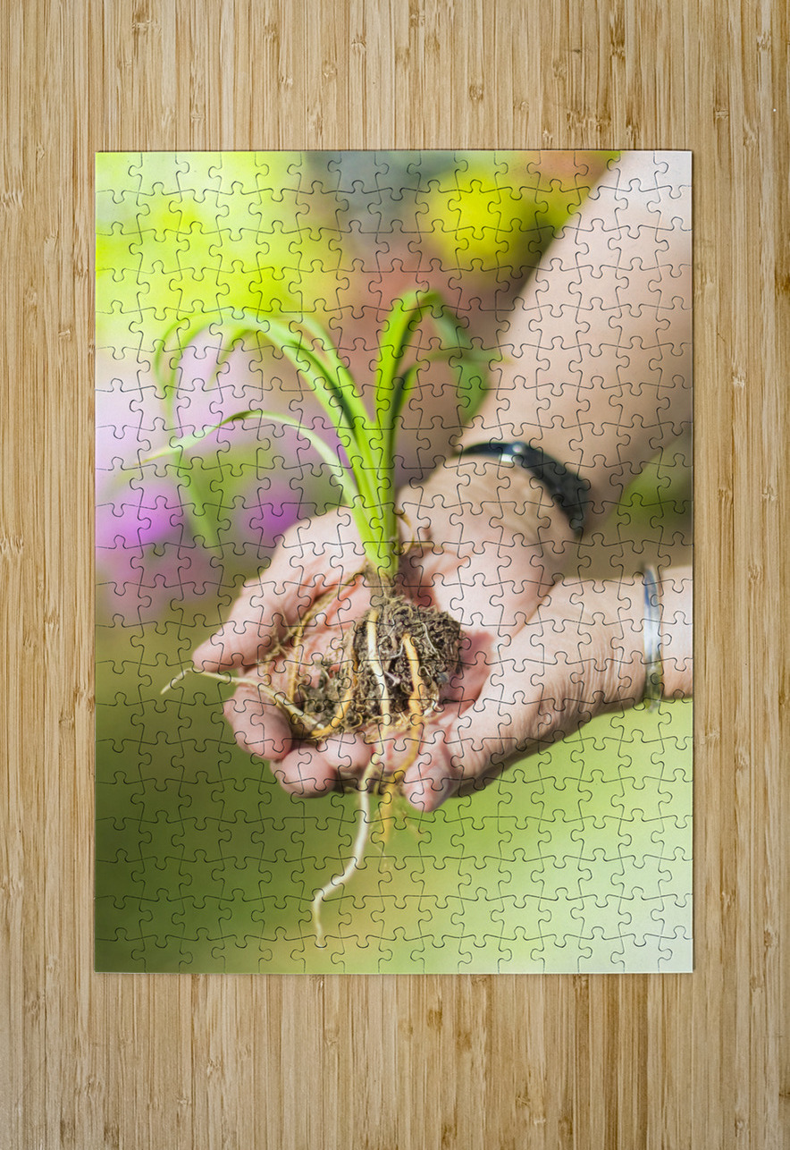 Hands Holding Plant Jorgo Puzzle printing