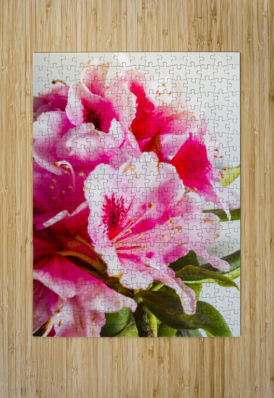 Spring of flower bouquets Jorgo Puzzle printing