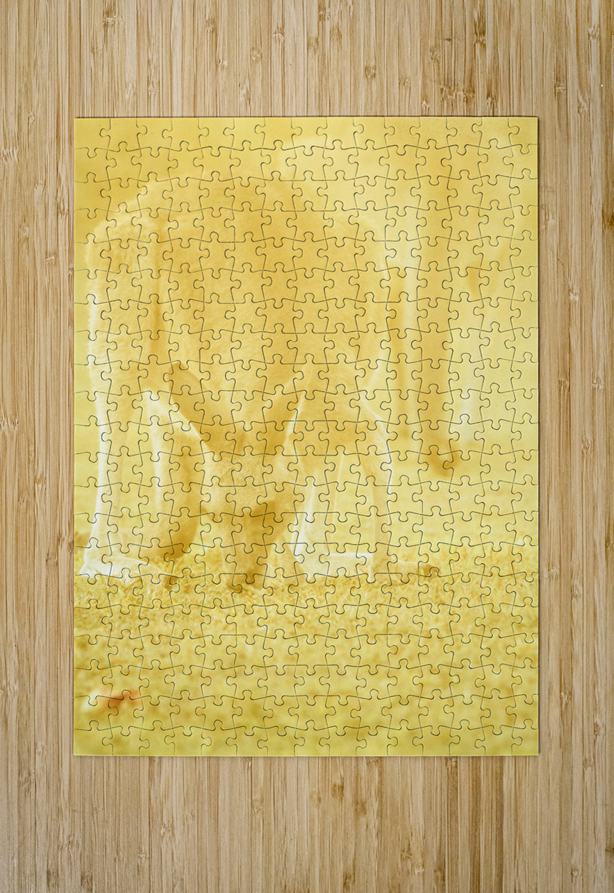 Golden Roo Jorgo Puzzle printing