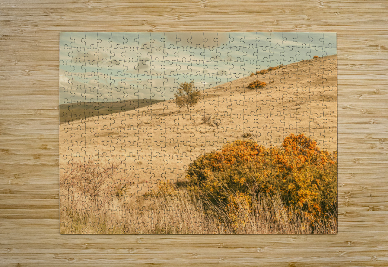 Country colours Jorgo Puzzle printing