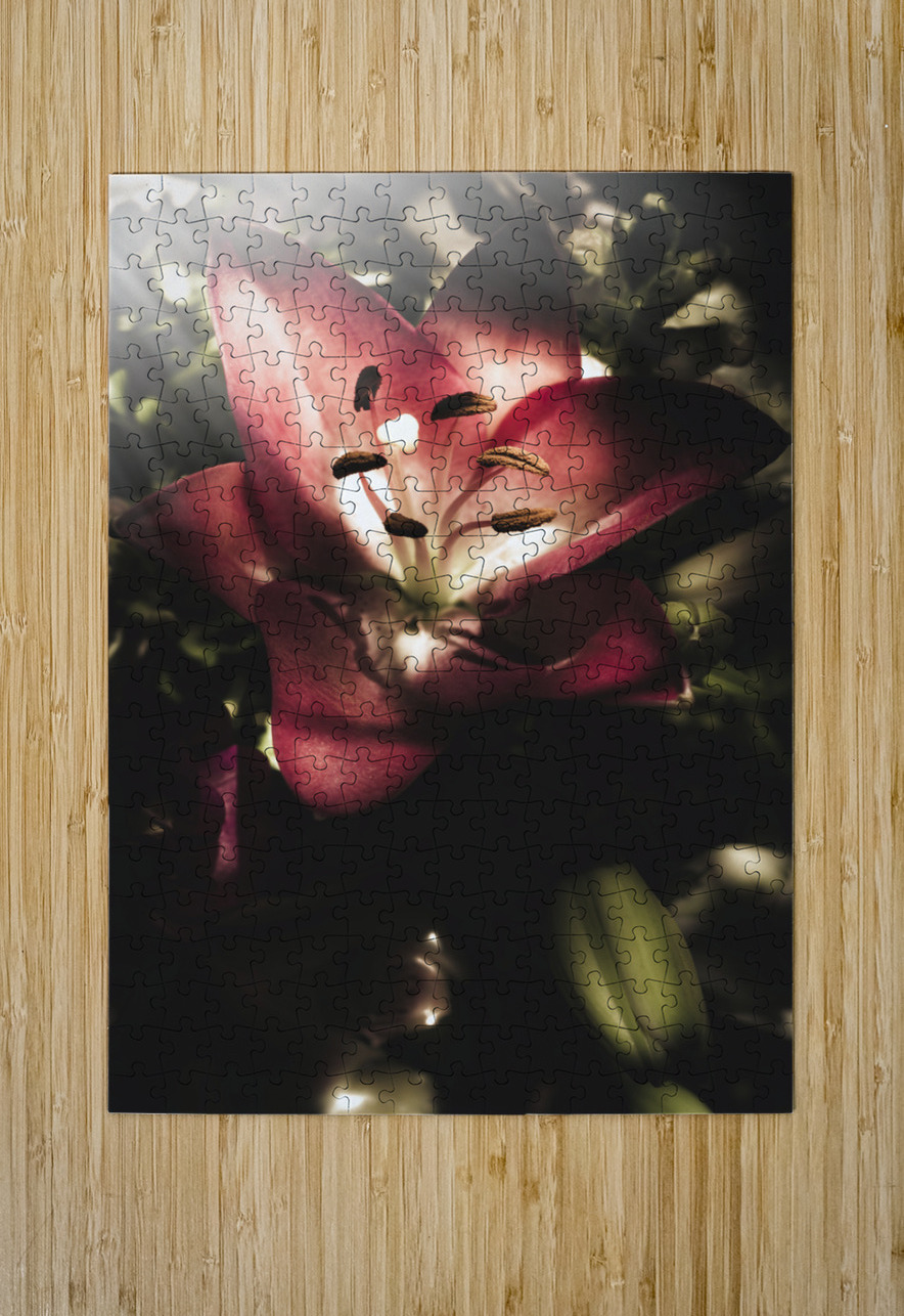 Of love and light Jorgo Puzzle printing