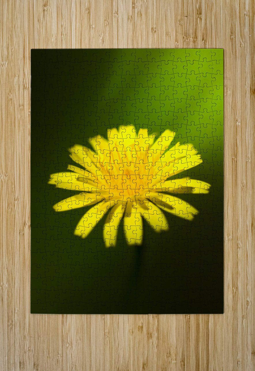 Dandelion Flower Jorgo Puzzle printing