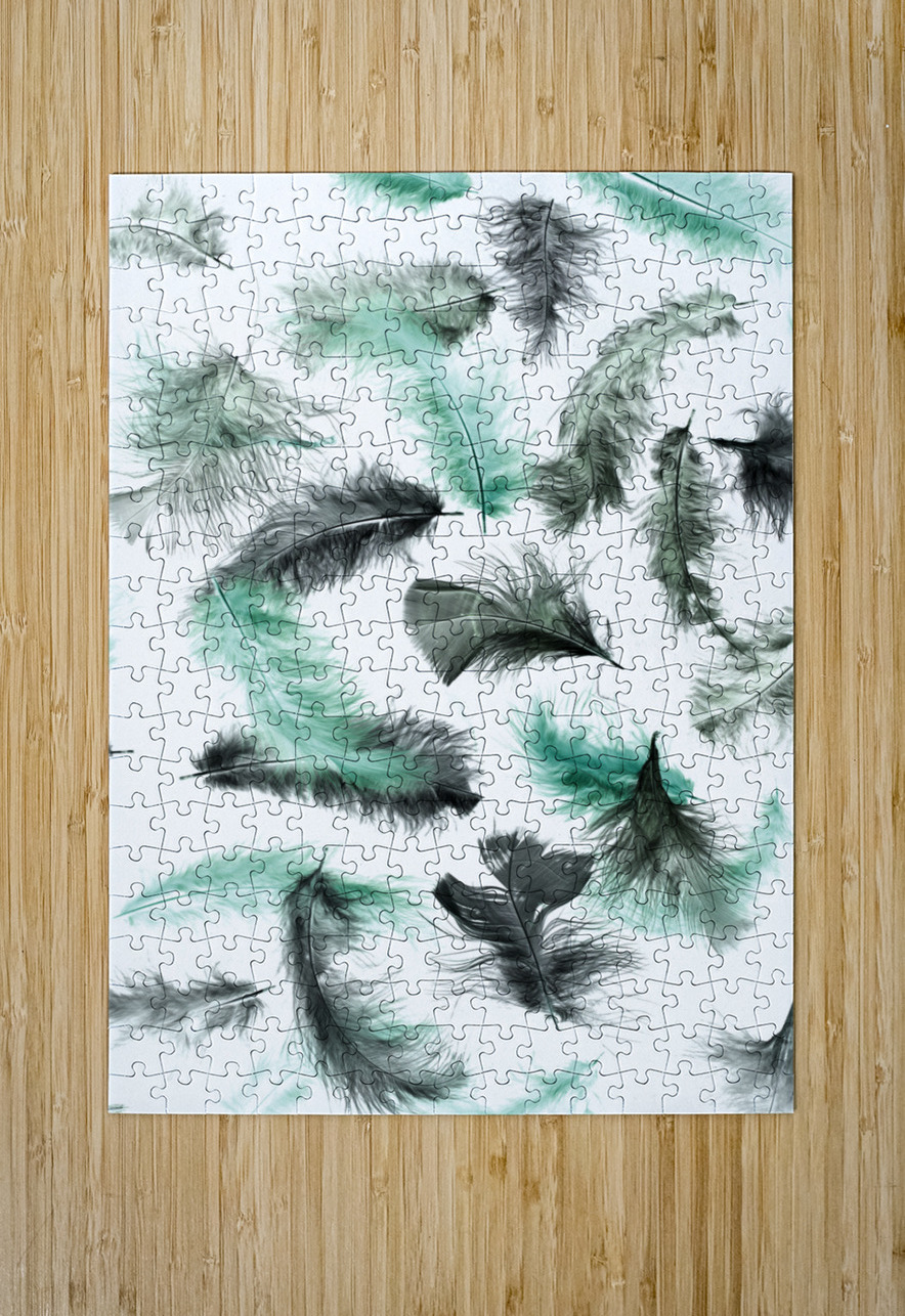 Quill and feather Jorgo Puzzle printing
