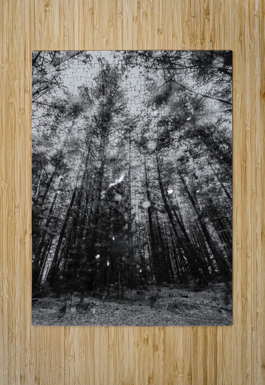 Reigning pines Jorgo Puzzle printing