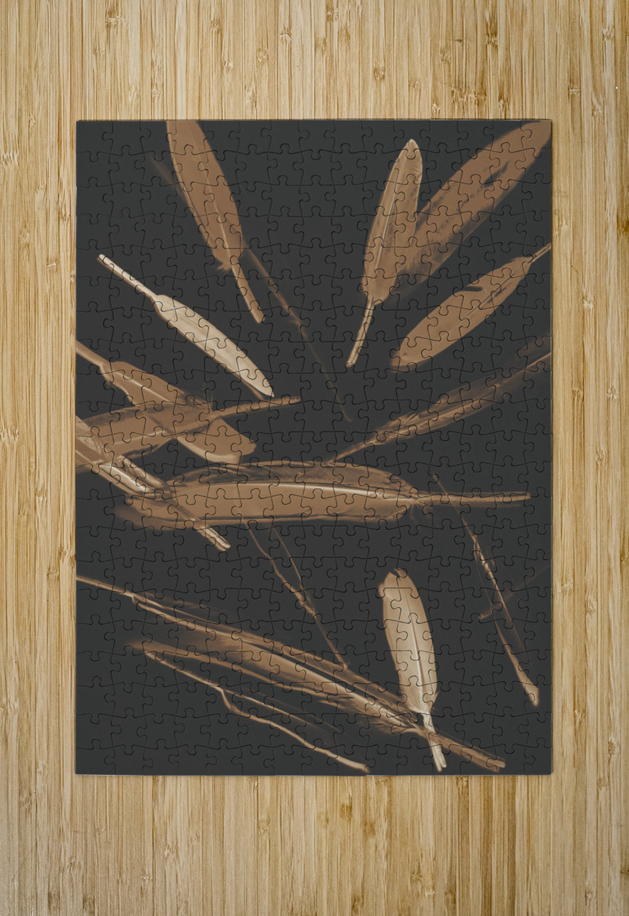 Feather Feature  Jorgo Puzzle printing