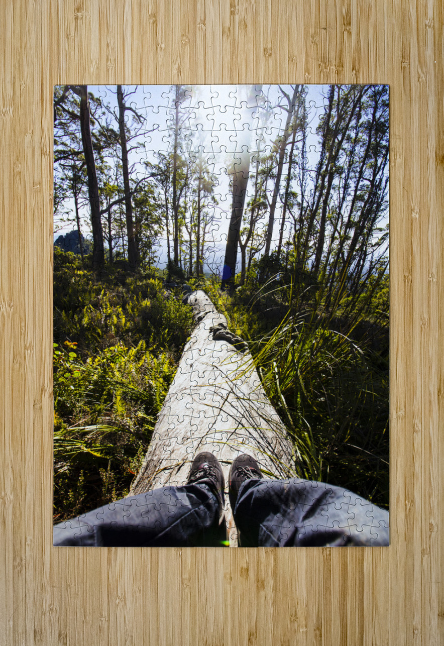 Explore tasmania Jorgo Puzzle printing