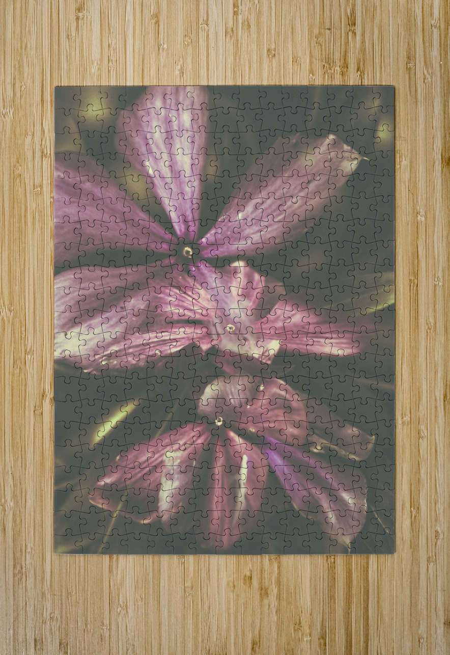 Flow er Jorgo Puzzle printing