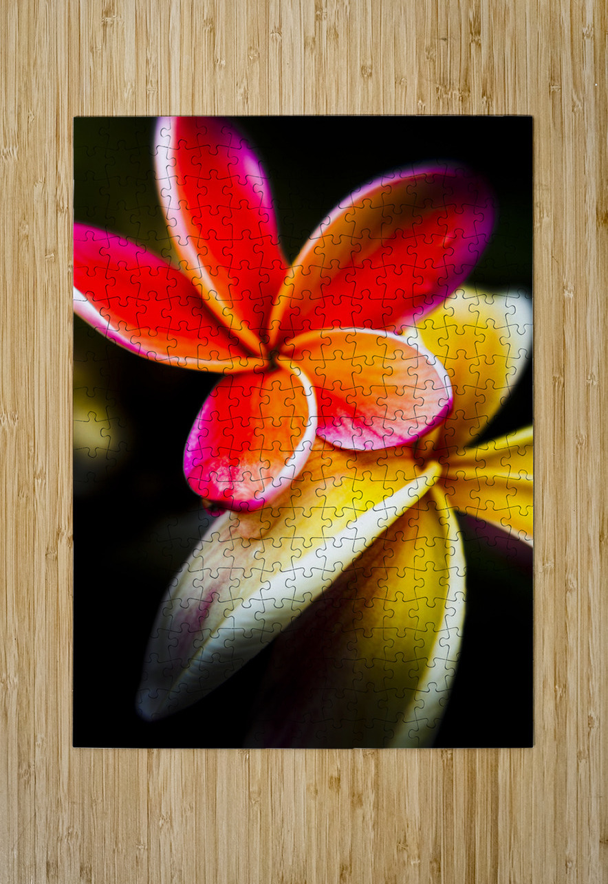 Touch of summer Jorgo Puzzle printing