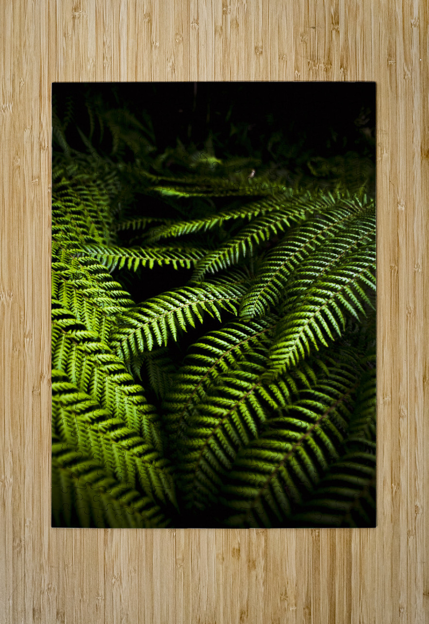 Twilight rainforest fern  Jorgo Puzzle printing