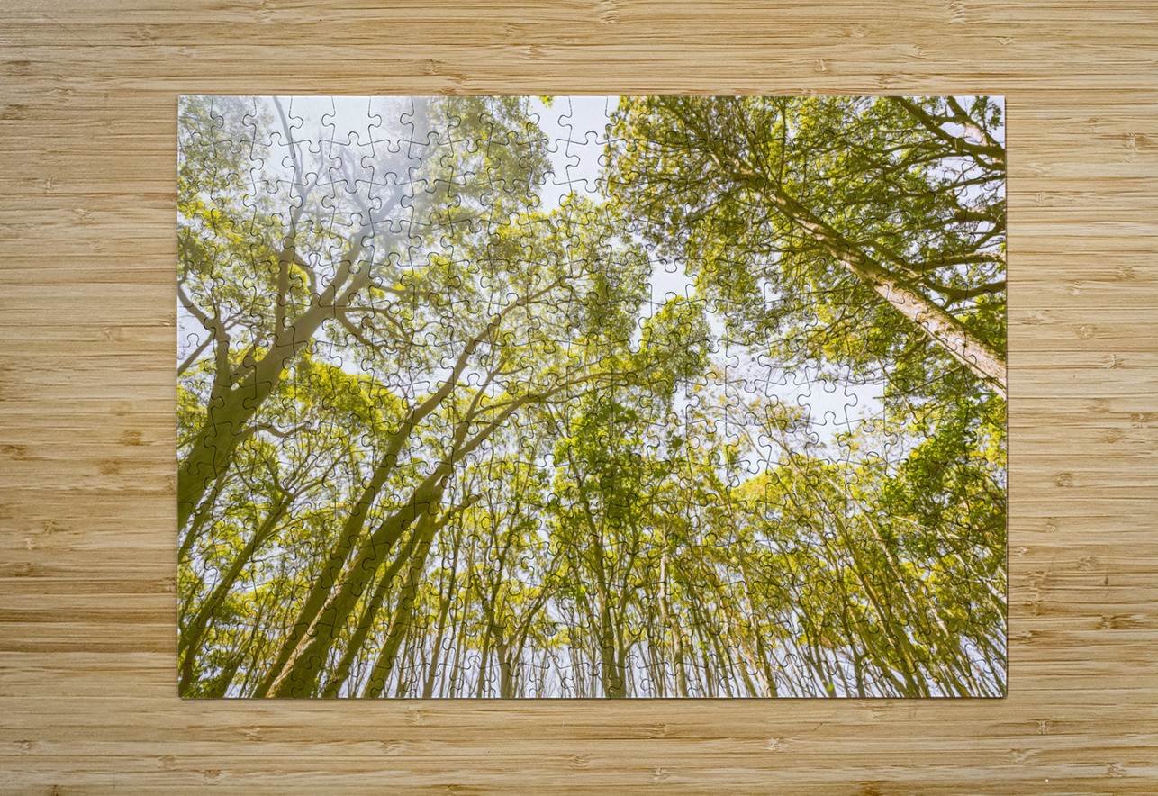 Country wide Jorgo Puzzle printing