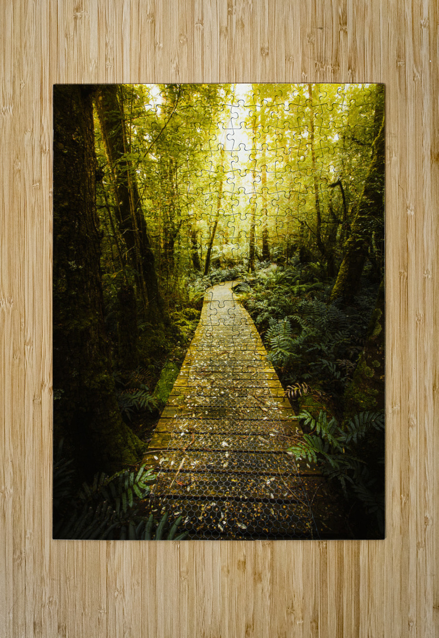 Lush Green Rainforest Walk Jorgo Puzzle printing
