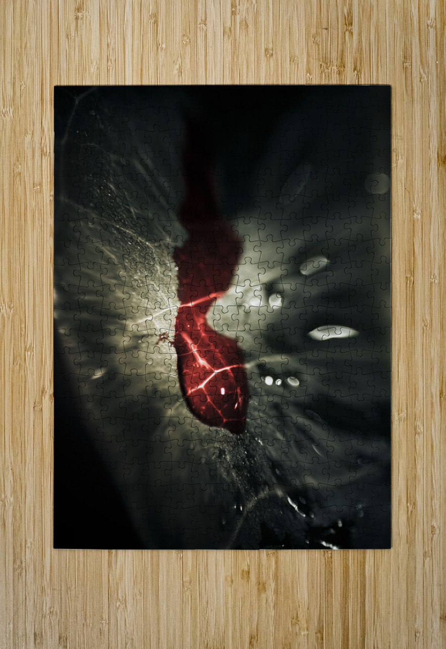 Bloody leaf evidence at a forest crime scene  Jorgo Puzzle printing