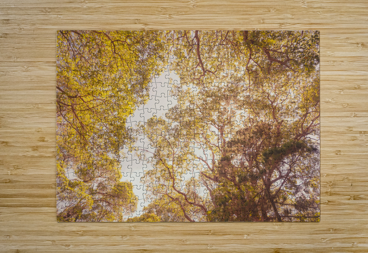 Beyond the pines Jorgo Puzzle printing