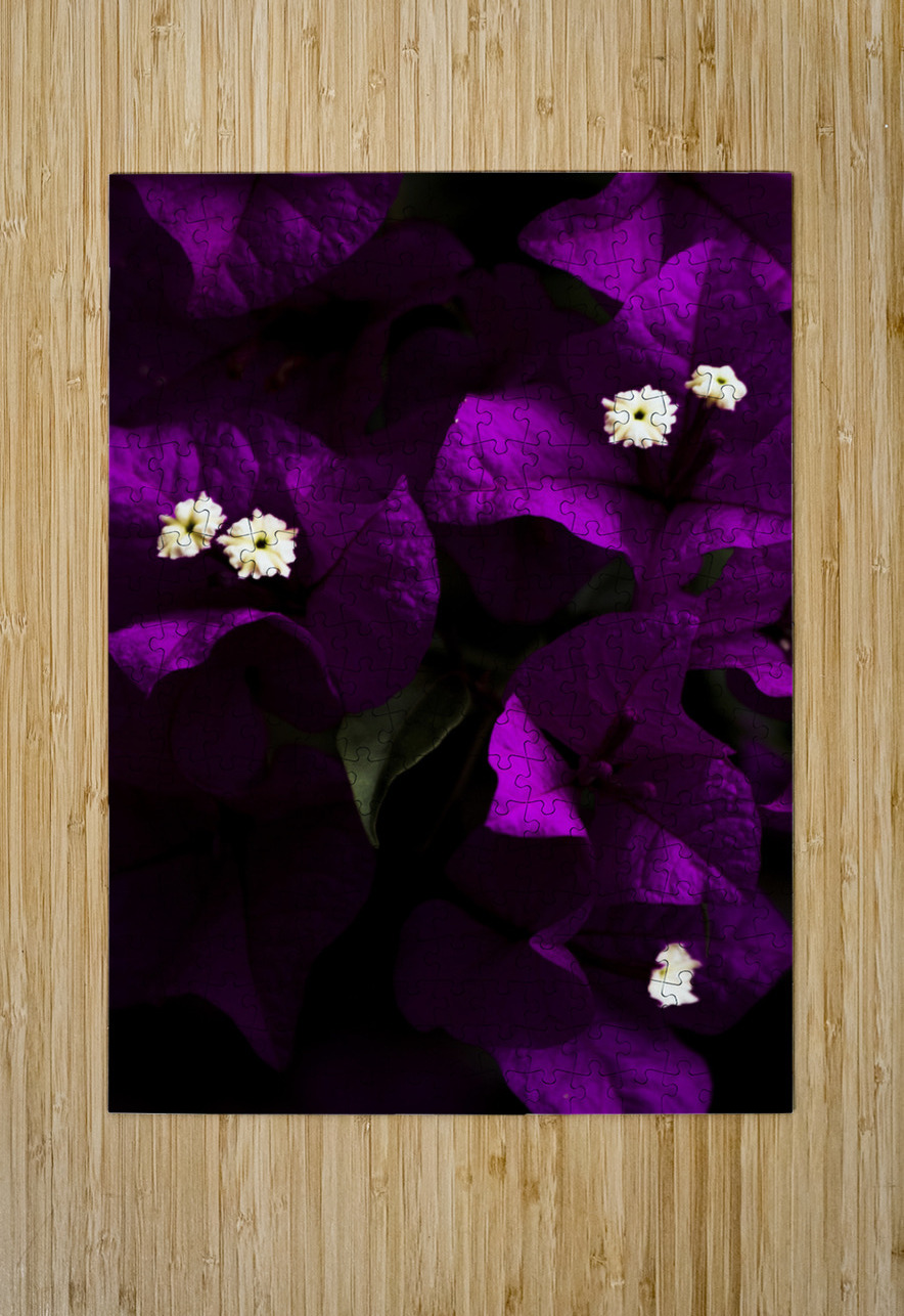 Dark Purple Bougainvillea Flowers Jorgo Puzzle printing