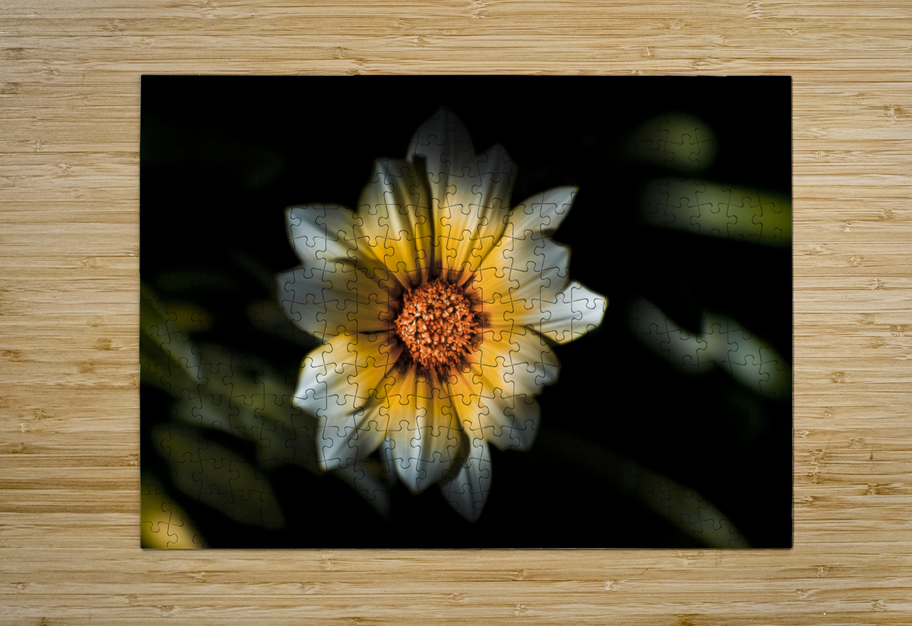 Dark Daisy Flower Jorgo Puzzle printing