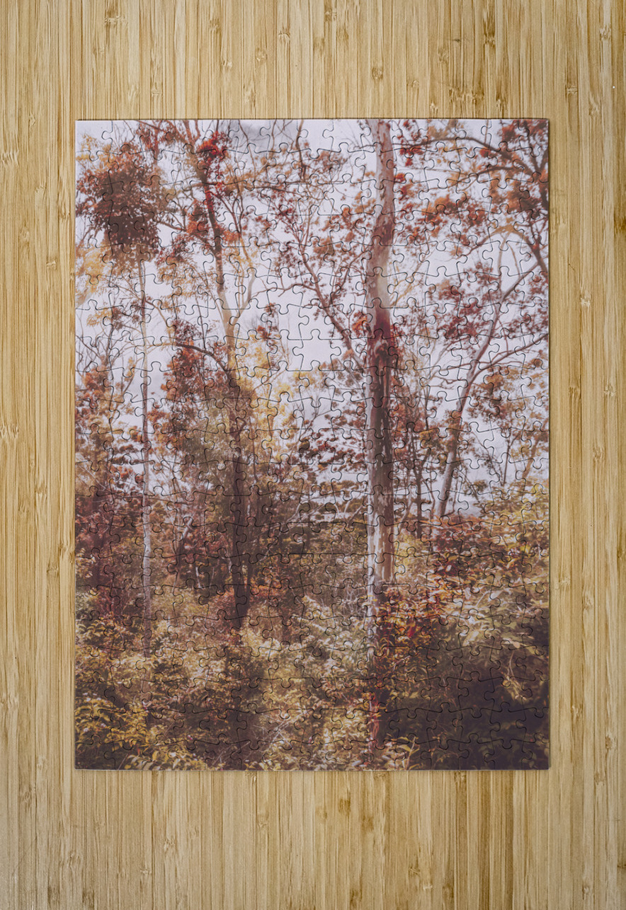 Backcountry colour Jorgo Puzzle printing