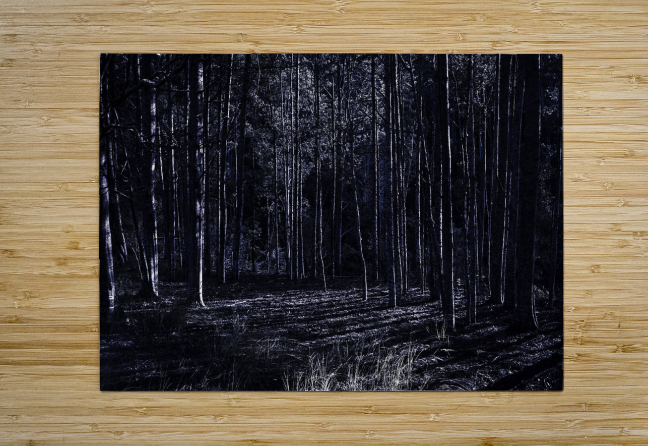Night thicket  Jorgo Puzzle printing