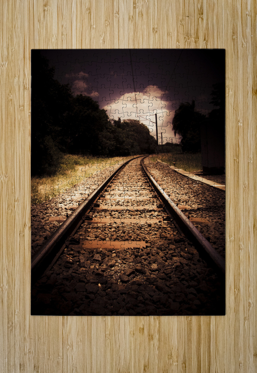 Train Tour Of Darkness Jorgo Puzzle printing