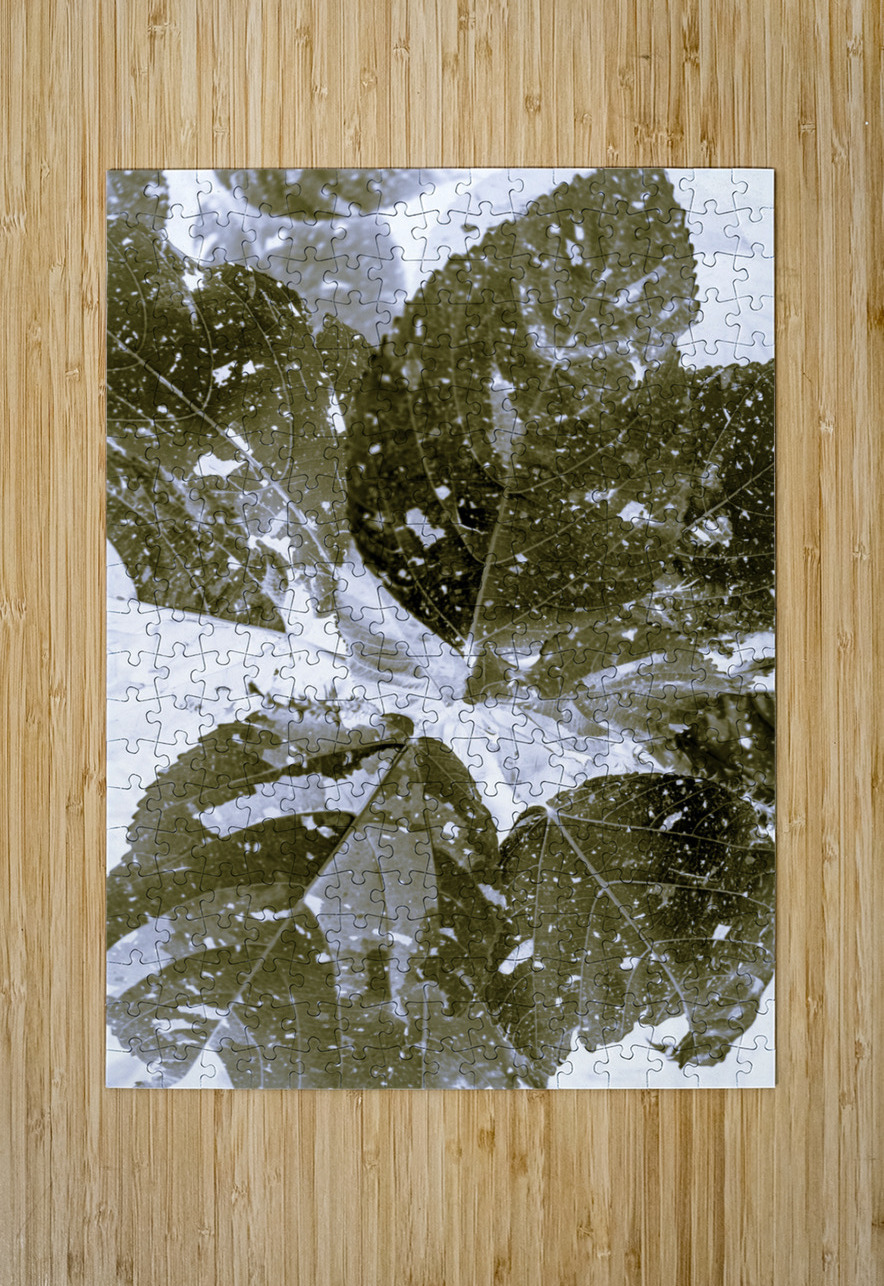 Spectral  Jorgo Puzzle printing